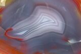 Colorful, Polished Patagonia Agate - Fluorescent! #260760-2